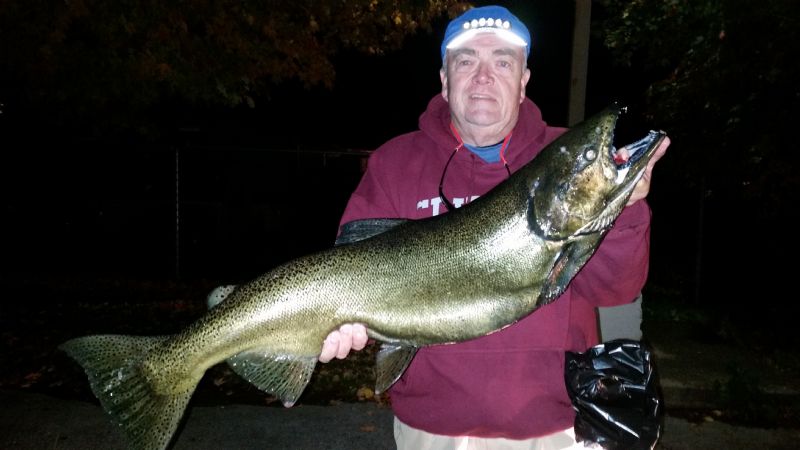 OCTOBER SALMON FISHING REPORT