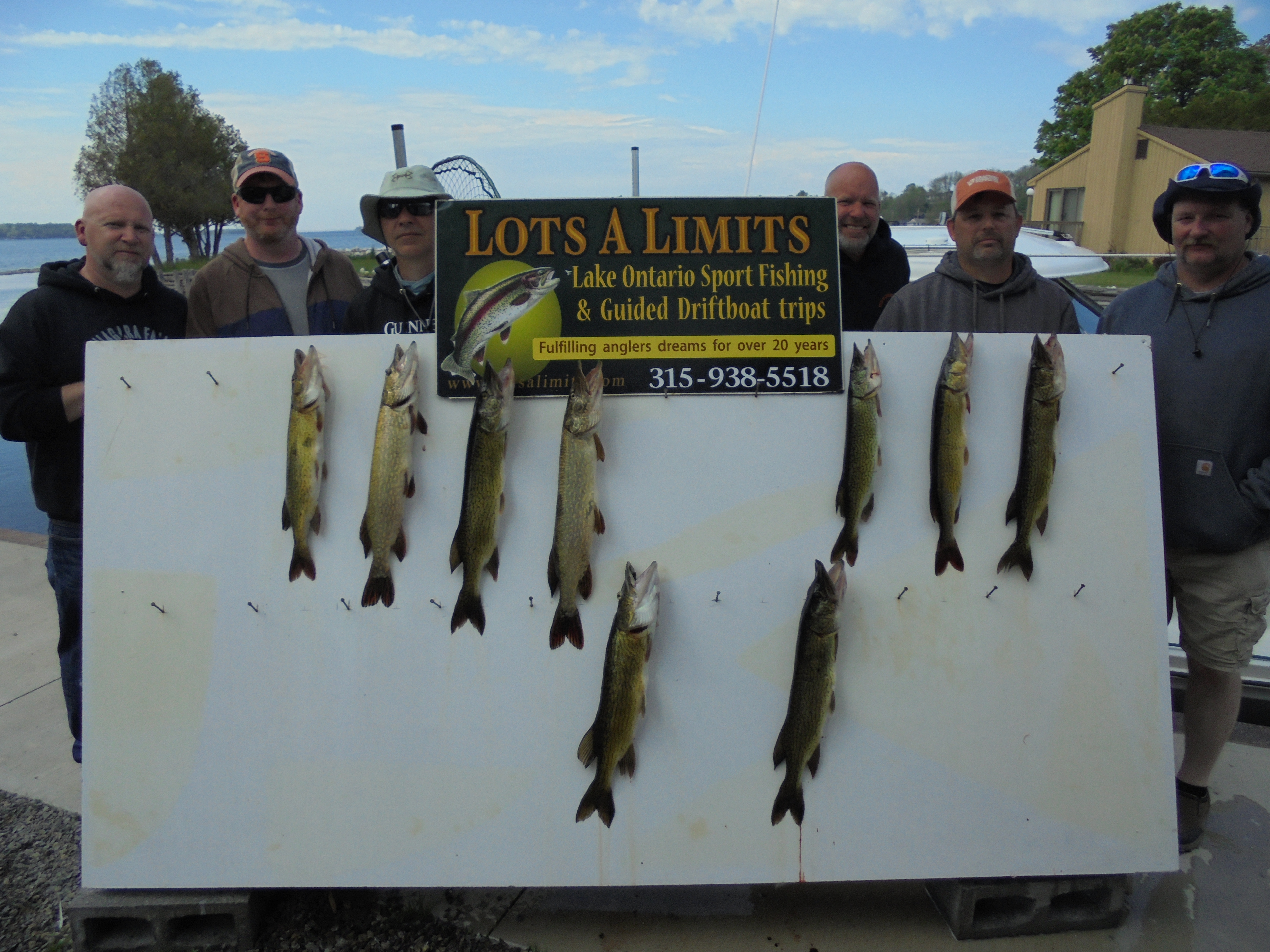 Walleye Fishing on Lake Ontario : Lots A Limits Fishing Charters & Guide  Service