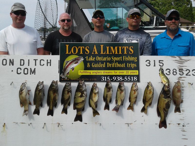 Lake Ontario fishing reports had a great day